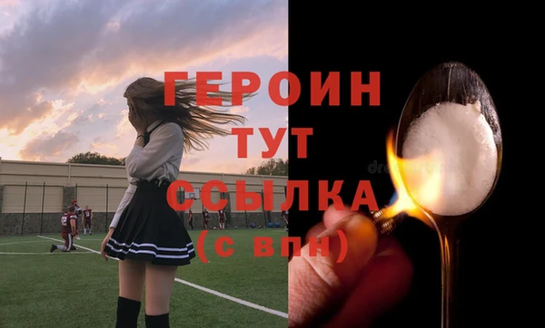 шишки Новодвинск