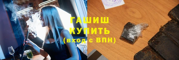 шишки Новодвинск