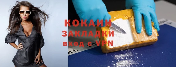 шишки Новодвинск