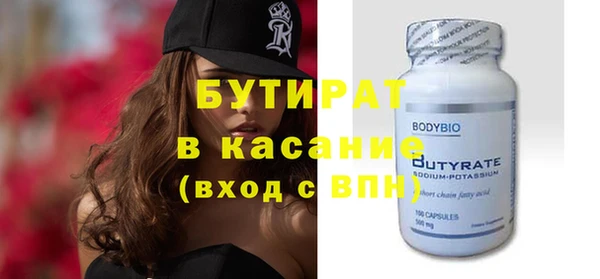 шишки Новодвинск