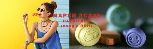 шишки Новодвинск