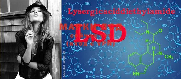 mdpv Новозыбков