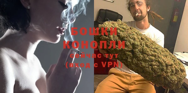 шишки Новодвинск
