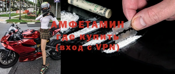 шишки Новодвинск
