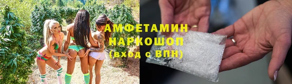 шишки Новодвинск