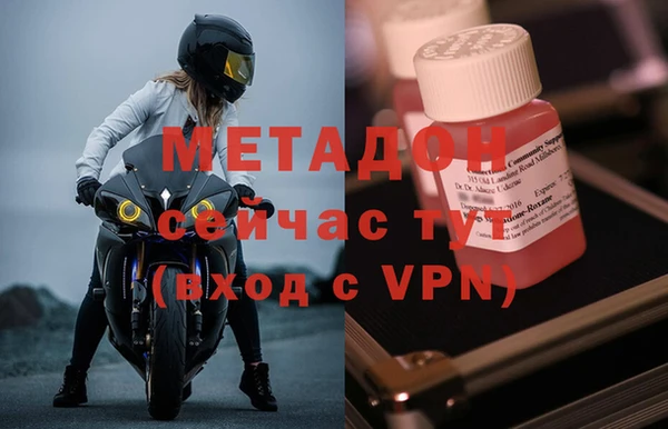 шишки Новодвинск