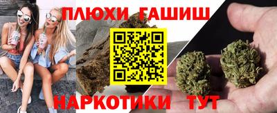 гашик Гусев
