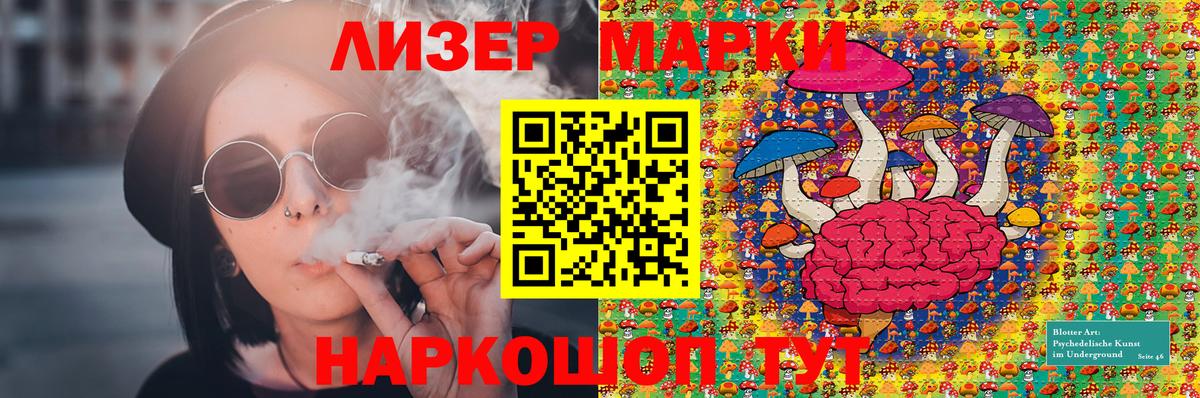 Наркотические марки 1500мкг  Марки 25I-NBOMe  как найти наркотики  Наркотические марки 1500мкг  Вход с VPN  Отрадное 